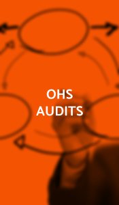 OHS AUDITS